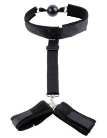 Fetish Fantasy Series Gag and Wrist Restraint