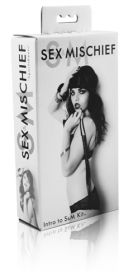Sex and Mischief Intro to Sex and Mischief Kit