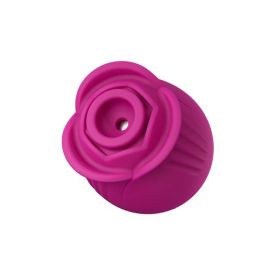 Blush Collection the Original Blush Rose